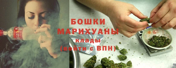 apvp Арсеньев