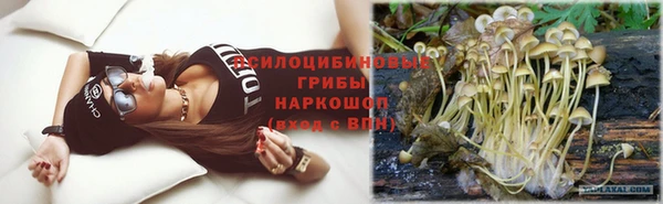 apvp Арсеньев