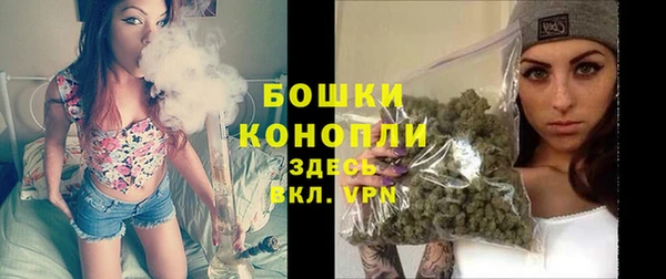 apvp Арсеньев