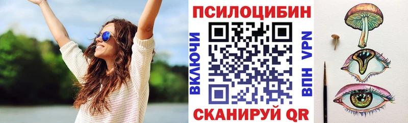 MEGA ссылки  Сольвычегодск  Псилоцибиновые грибы Psilocybine cubensis 